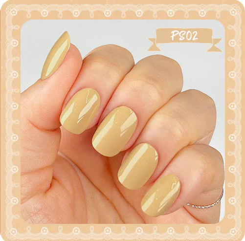 Show Me Korea - Purring Song Collection (Autumn 2022) (Discontinued) - Image 3