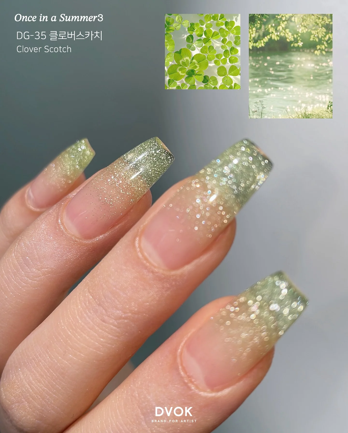 DVOK - DG35 (Clover Scotch) - Image 4