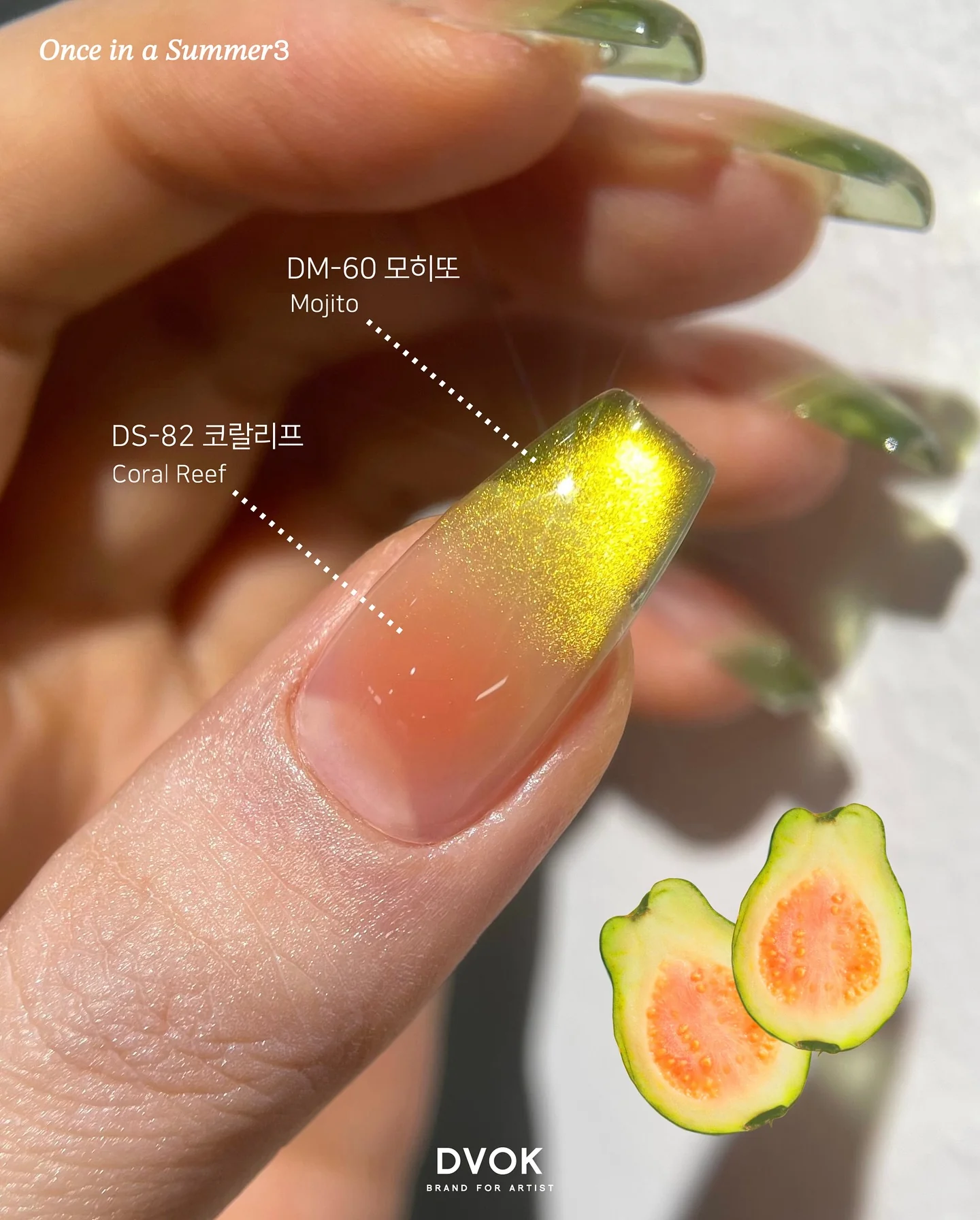DVOK - DM60 (Mojito) - Image 3