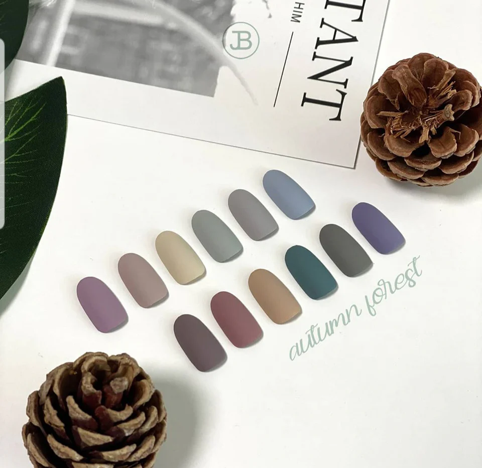 JIN.B Ivy Autumn Forest 12pc Collection (Discontinued) - Image 3