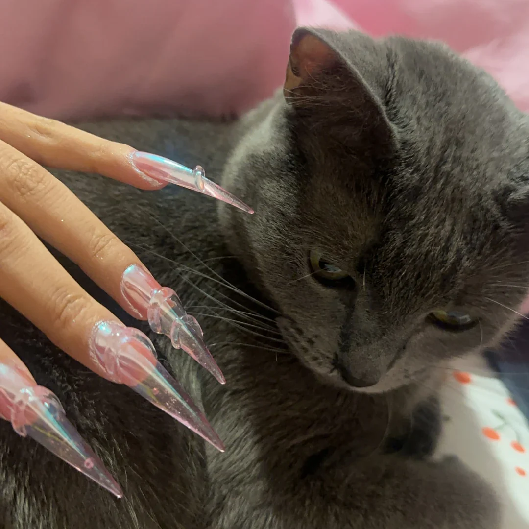 Kokoist - Cat Claw Crazy Gelip - Image 4